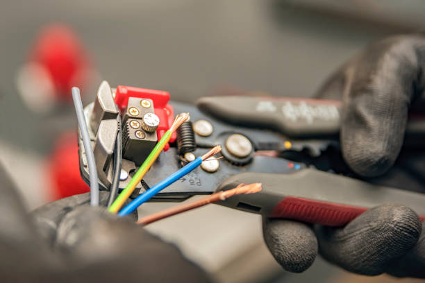 Best Electric Panel Repair  in Milton, DE